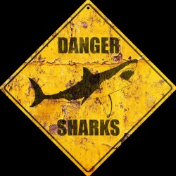 Panneau "Danger Sharks" 20cm x 20cm Illustration Originale Grand Requin Blanc Impression 3D