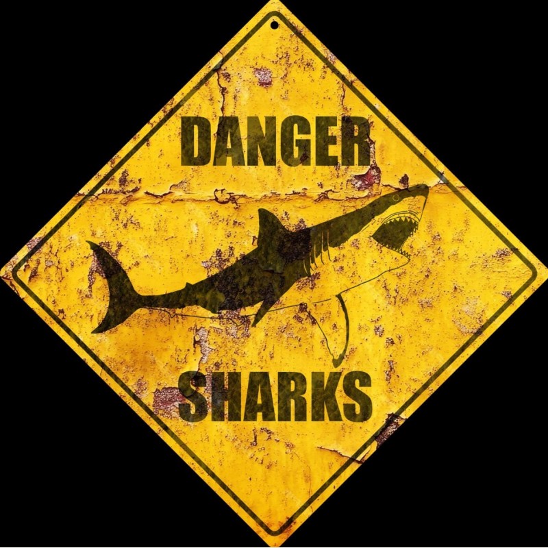 Panneau "Danger Sharks" 20cm x 20cm Illustration Originale Grand Requin Blanc Impression 3D