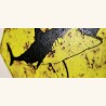 Panneau "Danger Sharks" 20cm x 20cm Illustration Originale Grand Requin Blanc Impression 3D